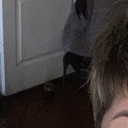 ������, ����������, 49 ���