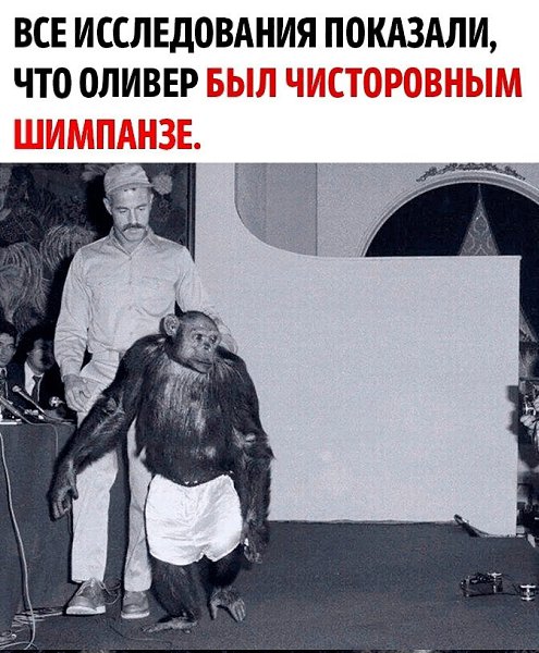 ������, ��������� 55 ���, ��������� ������� �������� ��������������� ��� ������������� ������ ... - 3