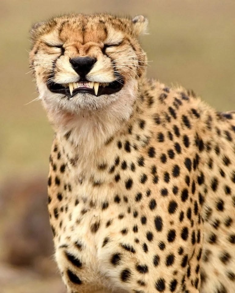 Если охота, то только такая - 3