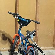 ����, 35 ���, ����