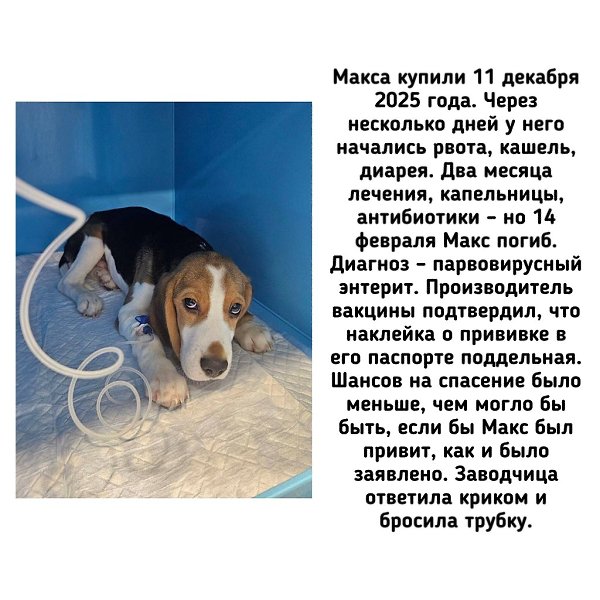 �� - ������������ ������ ������������ �� �������� ��������� (��������) �� ������ ����� (���������� ... - 8