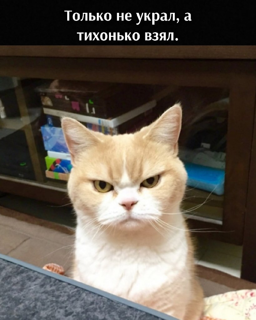 , ,    ,    )))