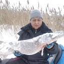 ���� ��������, ������, 54 ���� - ��������� 10 ������� 2026 � ������ ���� ����������