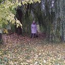 ���� ������, �����, 64 ���� - ��������� 7 ������� 2023 � ������ ���� ����������