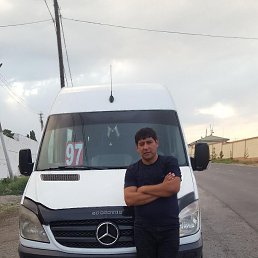 , 36, 