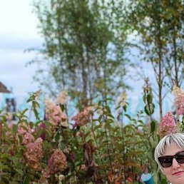 ������, ������, 55 ���