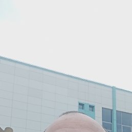 ���� ������, ����������, 52 ���� - ��������� 15 ������ 2026