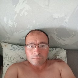 , 41, -