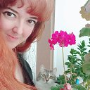 ���� ���, ������������, 36 ��� - ��������� 17 ��� 2025 � ������ ���� ����������