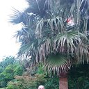  ()60 ( ),  -  14  2025    