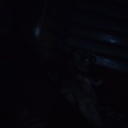 �������� ������, ������, 38 ���