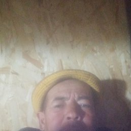 ������, ������, 54 ����