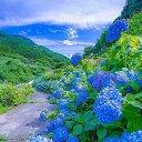 ���� ����, ������, 51 ��� - ��������� 9 ���� 2025 � ������ ���� ����������