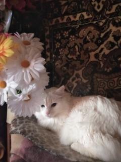 ���� �������, ����, 45 ��� - ��������� 29 �������� 2025