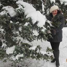 ������, �����������