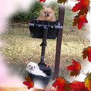 � �����...�������, �����������, �����������, �������, ����� � �������. ☝️ 😆 😘 🥰 🌺 �� ������� ���� ����������