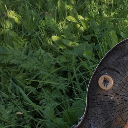 ������, �����-���������, 59 ���