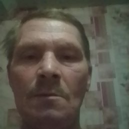 ����, ������, 49 ���