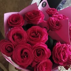 ���� ���, ������ - ��������� 25 ������� 2024