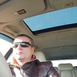 ���� ���������, ������, 43 ���� - ��������� 11 ����� 2024