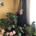 ���� ������, ���, 67 ��� - ��������� 1 ������ 2025 � ������ ���� ����������