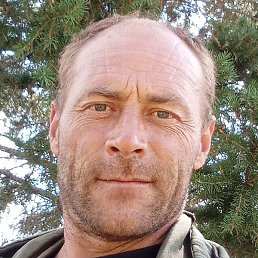 �������, ������, 39 ���