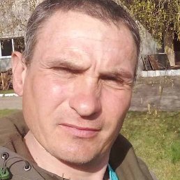 ����, �����, 44 ����