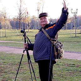 �����, ������, 67 ���