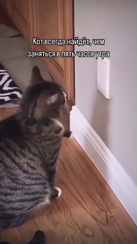 ��� �� �������� � 5 ����, � �� ����� ����������) - 2