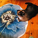 ���� �������, �����, 58 ��� - ��������� 12 ������ 2025 � ������ ������ ��������
