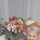 ���� �����, ���������, 66 ��� - ��������� 24 ������ 2025 � ������ ���� ����������