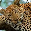 ���� �������, ������-��-���� - ��������� 8 ���� 2025 � ������ ���� ����������