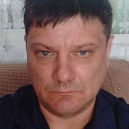 �����, �������, 41 ���