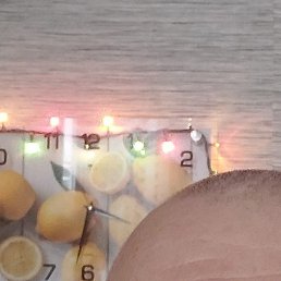 ����, ���������, 47 ���