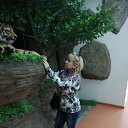 ���� ���, ���������, 48 ��� - ��������� 31 ������� 2024 � ������ ���� ����������
