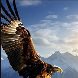 ��������, �����-���������, 52 ����