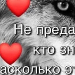 ������, �����-���������