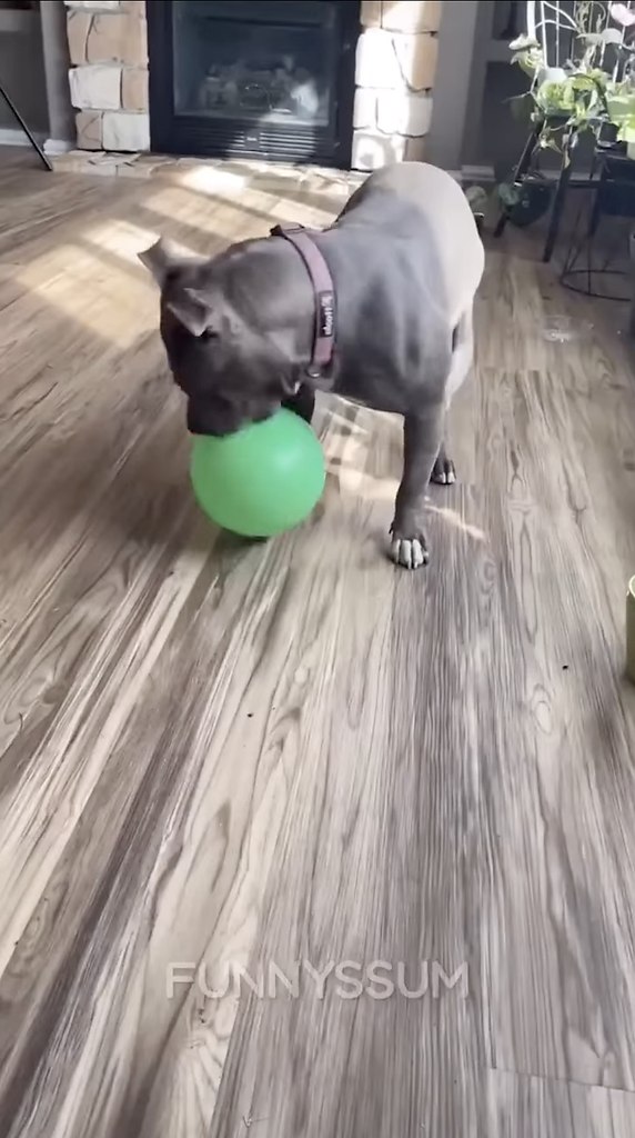 ���������� ����� ����� - 2