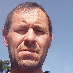 �������, ������, 48 ���