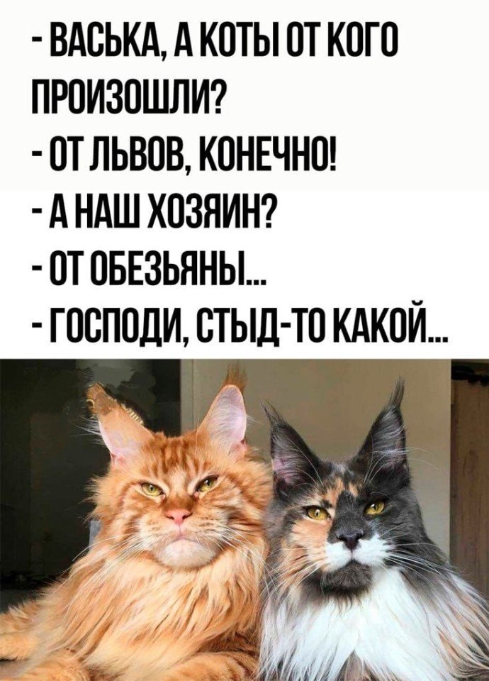 �������� ��������� - 8 ��� 2026 � 06:54