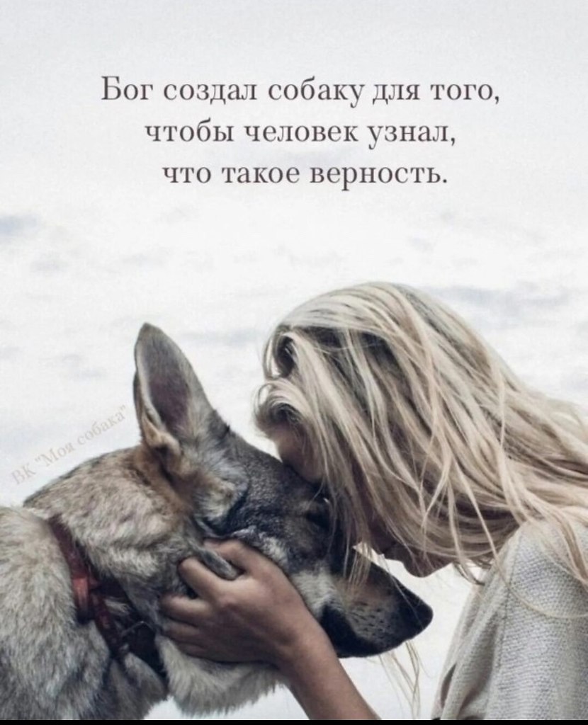 ������ - 10 ��� 2026 � 20:22 - 2