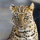 ���� �������, ��������� - ��������� 14 ������� 2024