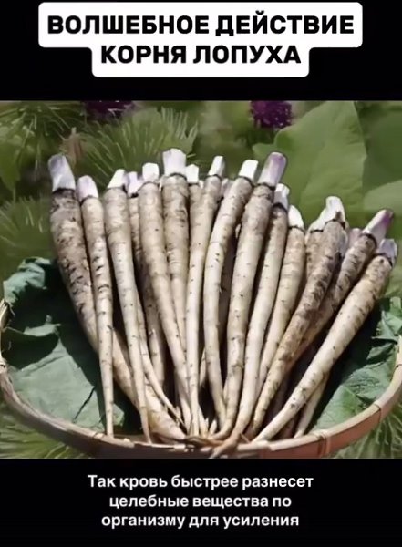 ����������� ���������, ����� ������ ���������� ������ ���� ��� �����! - 2