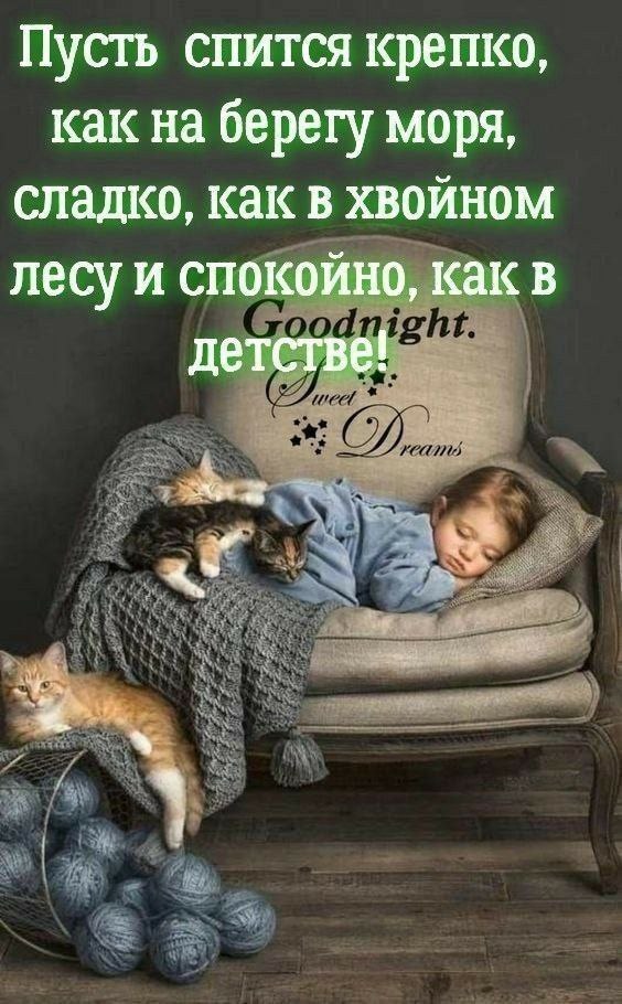   ,    . - 24  2025  21:58