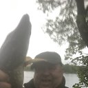 ���� ����, ������, 56 ��� - ��������� 10 ������ 2025 � ������ ������ ��������