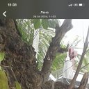 ���� �����, ������, 60 ��� - ��������� 28 ������ 2024 � ������ ���� ����������