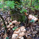 ���� �������� �������, ���������, 45 ��� - ��������� 27 ������� 2024 � ������ ���� ����������