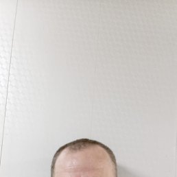 ������, 41 ���, ���������