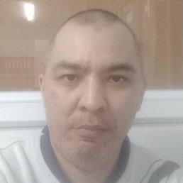 �����, �������, 42 ����