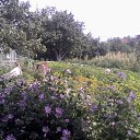 ���� ���������, �������� - ��������� 22 ������� 2025 � ������ �����